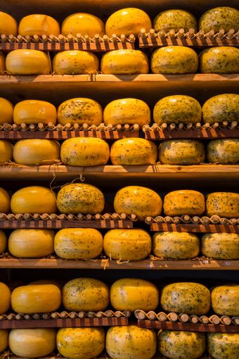 Freshly made yak cheese wheels inside the Kyanjin Gompa yak cheese factory