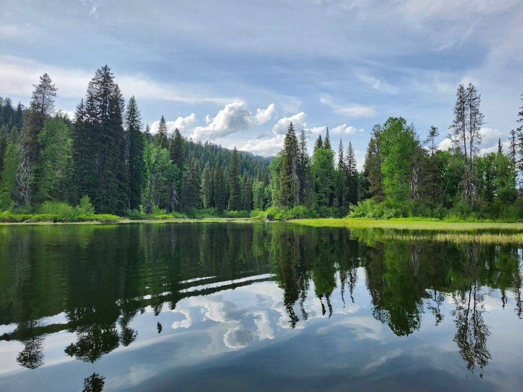The large, calm blue waters of Rara Lake reflecting the sky, surrounded by pine forests
