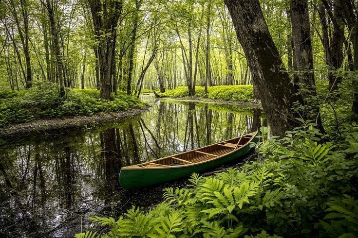 A canoe floating on the tranquil Karnali River in Bardia with forest background