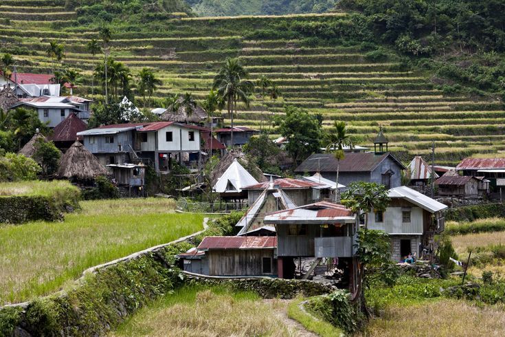 A scenic view of a traditional village house in Ilam's Eastern Hills with terraced farms