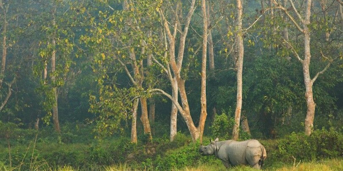 Sacred forests and wildlife reserves Nepal….1 Sacred forests and wildlife reserves Nepal....1