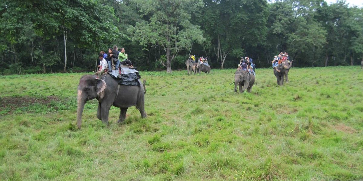 forests and wildlife reserves Nepal…..1 forests and wildlife reserves Nepal.....1